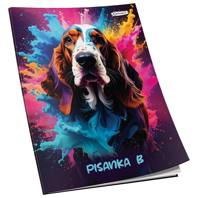 Obrazac školski pisanka "B" za 1razred Soft+ Connect Girl - Slika 9