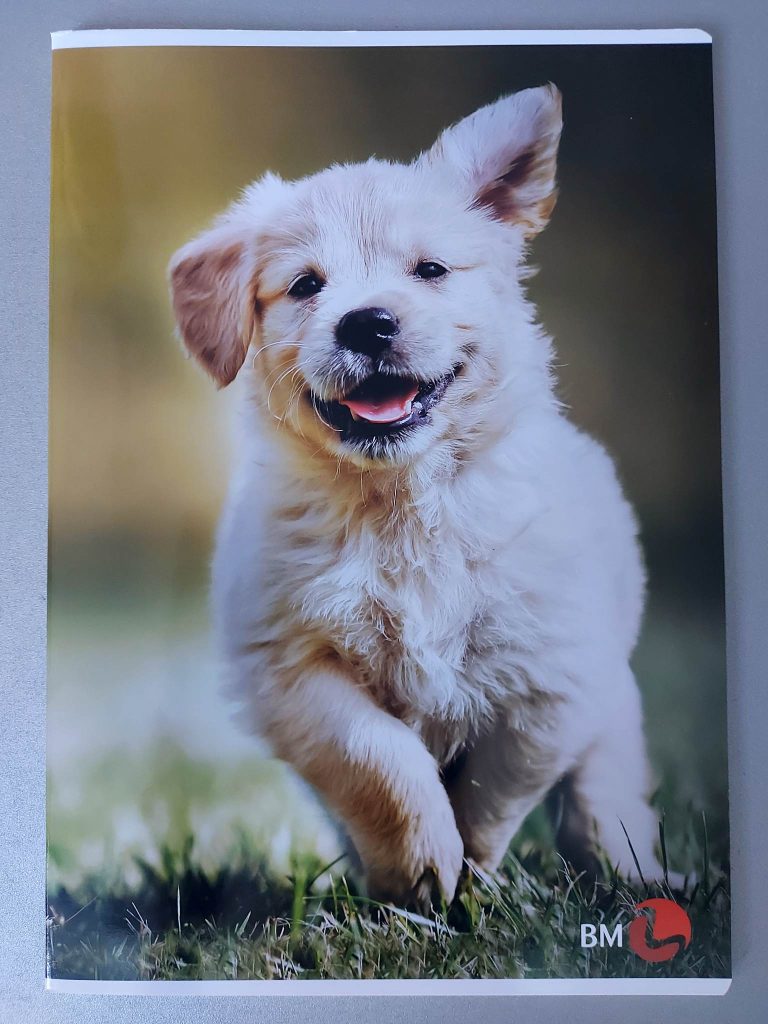 Go note bilježnica A4 - karo - Slika 3