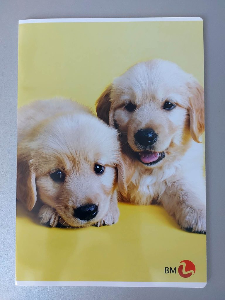 Go note bilježnica A4 - karo - Slika 4