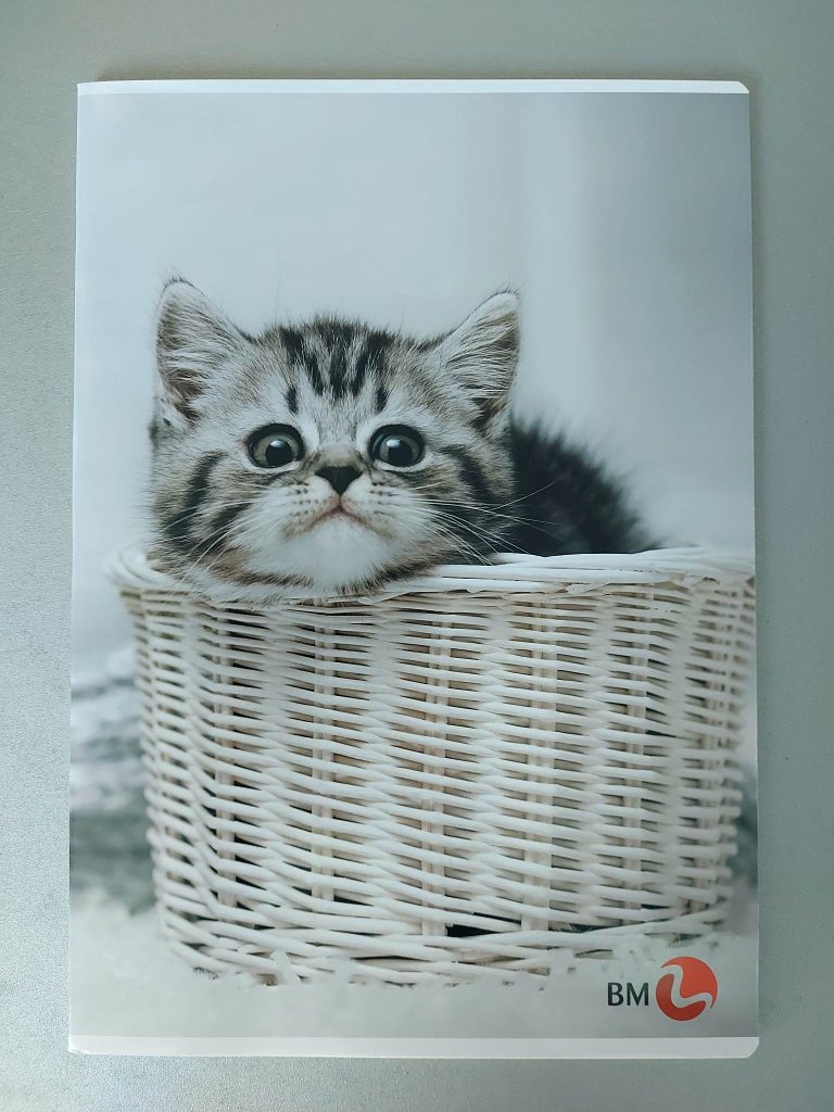 Go note bilježnica A4 - karo - Slika 5