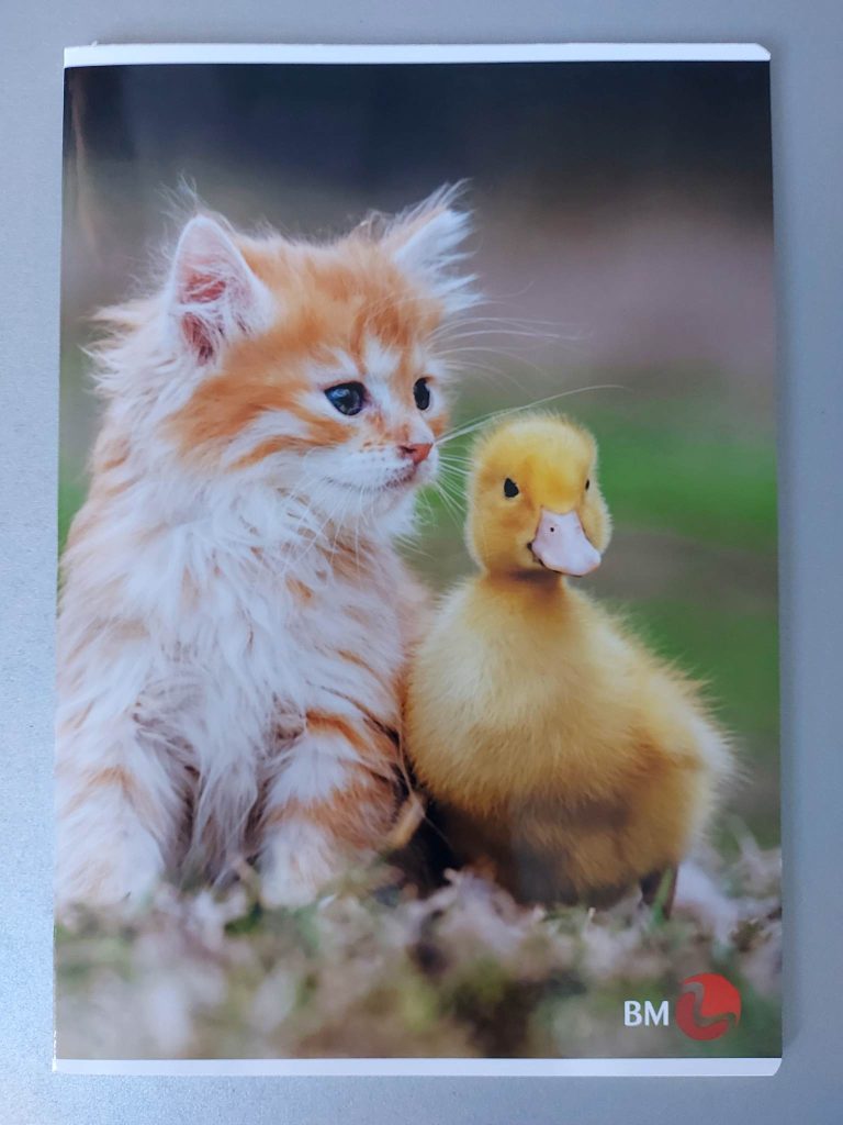 Go note bilježnica A4 - karo - Slika 8