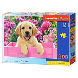 PUZZLE CASTORLAND 300kom Štene labradora u rozoj kutiji