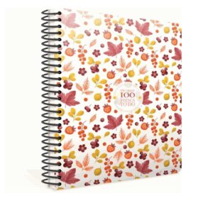 100 things spiralna bilježnica 19X26 crte