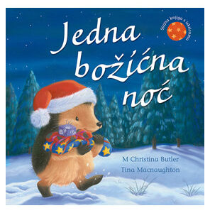 Jedna božićna noć