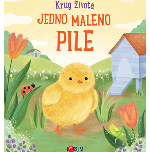 Krug života: Jedno maleno pile